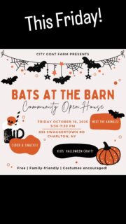 This Friday, join City Goat Farm for our first community open house! 🦇

Drop in Friday, October 10, 5:30-7:30 PM
🐐 Meet the rescue animals
🖌️ Make a Halloween craft
🍎 Enjoy cider and snacks

See you there!