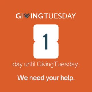 Thank you to everyone who’s already supported our barn flooding fundraiser. 💛

As we head into Giving Tuesday, we want to share more about who this work protects.

Take Orson and Welles—when they came to us, their first instinct was to find a dry, quiet spot where they could feel safe. The barn became that place for them. It’s where they sleep, where they decompress, where they feel safe.

But repeated flooding has pushed water straight toward the barn foundation. That puts every resident at risk—including Orson and Welles.

The excavation and drainage work is underway, but we still have $3,184 left to raise to finish the project before year’s end.

Thank you for helping build a safe, lasting home for Orson, Welles, and every resident who counts on our farm for a home. 🐖

#givingtuesday2025