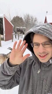 Neither rain nor snow stops care for the 40+ rescued animals that call City Goat Farm home. 

Today, were asking for your help to keep their home safe. Every dollar helps.

Donate today! 💕🐐

#givingtuesday2025 #farmrescue #helpushelpthem