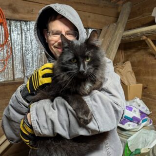 Bassett (black) and Padme (cream) are officially at home in the barn.

They have a cozy heated house tucked inside their own stall — a safe space where they can come and go as they please, but where no other residents can sneak in.

Bassett is a total cuddle buddy, always ready to be picked up and carried around. Padme prefers a slightly more strategic approach to affection— she will happily hunt you down anywhere until she gets her evening wet food.

Both girls are now at ease with the birds and pigs, and they’ve even spent time visiting with the little sheep. At night, they patrol the barn and seem well assured of their authority over the farm.