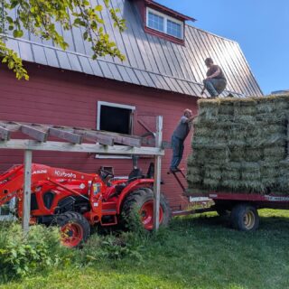 Hay is one of the biggest ongoing expenses at City Goat Farm. Last year alone we spent over $6,000 just keeping everyone fed through the seasons.

This year, we were finally able to clean out our hay loft and recently had Smith's Farm deliver 300 bales, enough to last us at least half a year. That means less time hauling and moving hay, lower costs, and more stability across seasons.

It’s a simple thing, but it makes a huge difference: healthy, well-fed goats and sheep, and a little more breathing room for the farm.

Thank you to everyone who has made generous contributions this year and helped us make this investment.