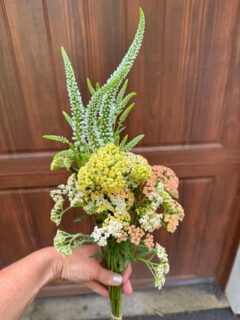 We're so grateful to our neighbors at @madbloomscharlton for supporting the sanctuary this week! 💐

This Thursday and Friday (July 2–3), fresh-cut flower bouquets will be available at the MADBlooms farm stand at 481 Stage Road in Charlton, NY, with 50% of all sales benefiting City Goat Farm Sanctuary.

If you're out and about, consider stopping by to pick up some beautiful flowers! Every purchase helps care for the animals here at the farm while supporting another wonderful local farm.

Thank you, MADBlooms, for your generosity and community spirit! 🐐🌸